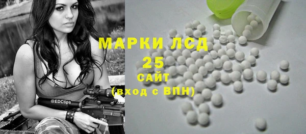 прущие крисы Ельня