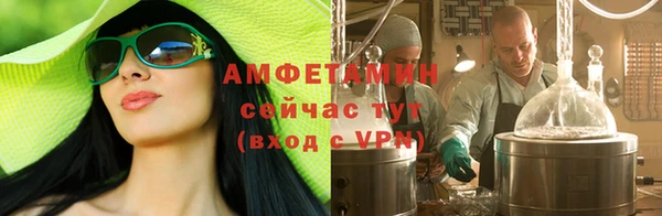 прущие крисы Ельня