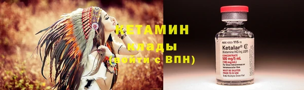 прущие крисы Ельня