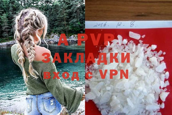 прущие крисы Ельня
