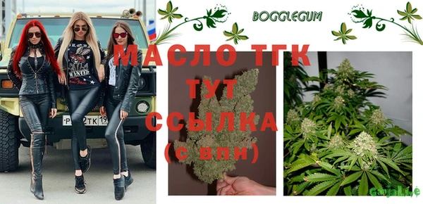 прущие крисы Ельня
