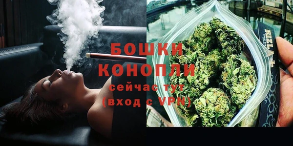 прущие крисы Ельня