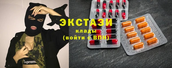 прущие крисы Ельня