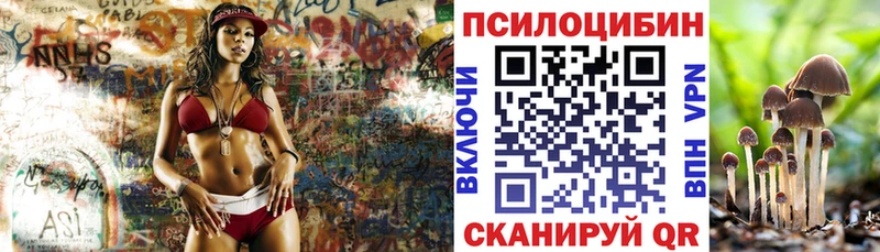 Купить  Няндома  Галлюциногенные грибы MAGIC MUSHROOMS 
